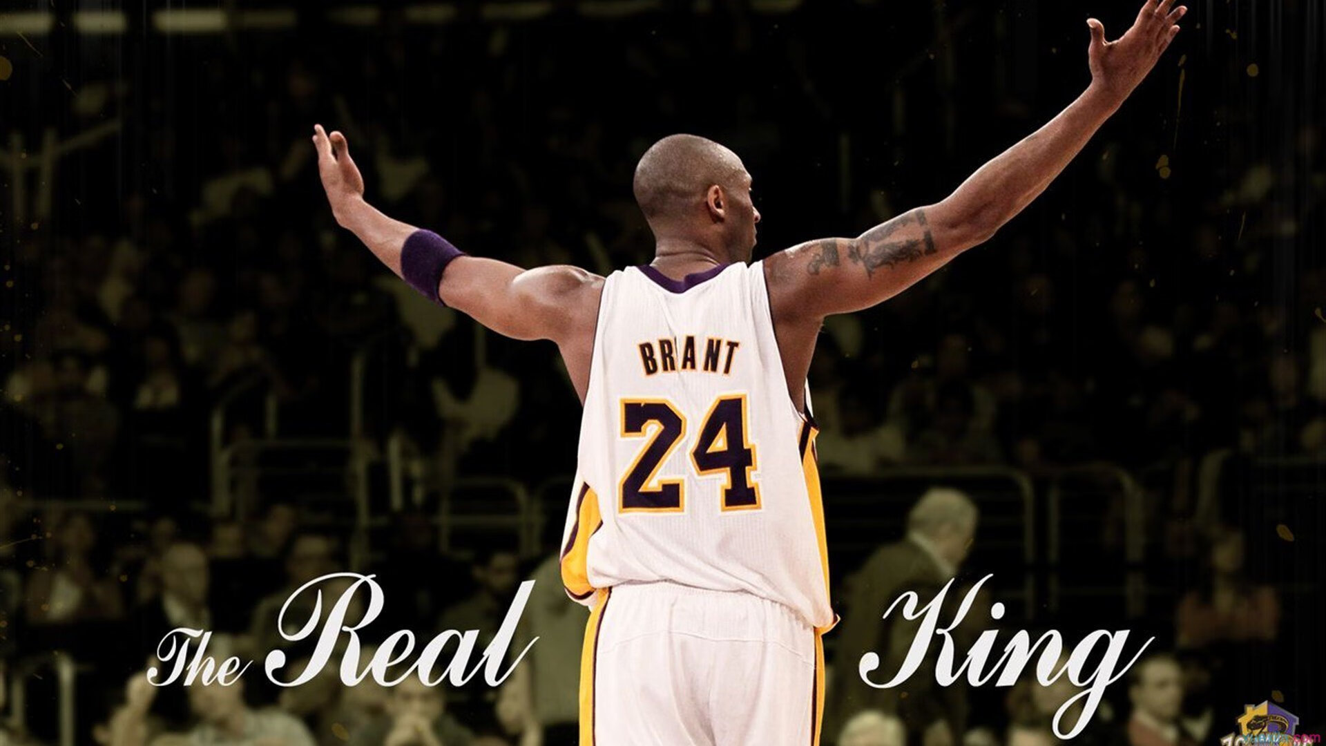 赛道与球场，鹈鹕力克公牛，F1街道赛的跨界启示